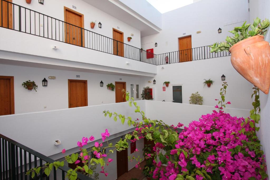 a balcony overlooking a garden filled with plants at Hotel Oasis Atalaya in Conil de la Frontera