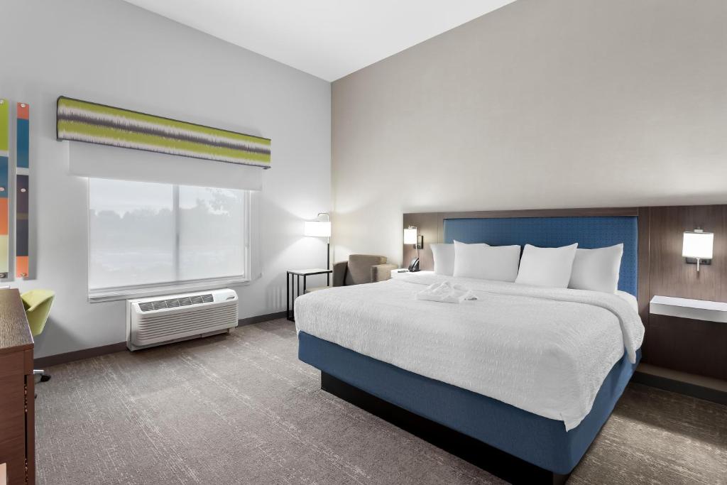 Hampton Inn By Hilton Huntley Chicago - Habitación King