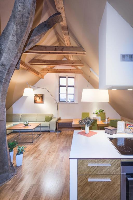 Kuchyň nebo kuchyňský kout v ubytování Apartmany Chornitzeruv dum