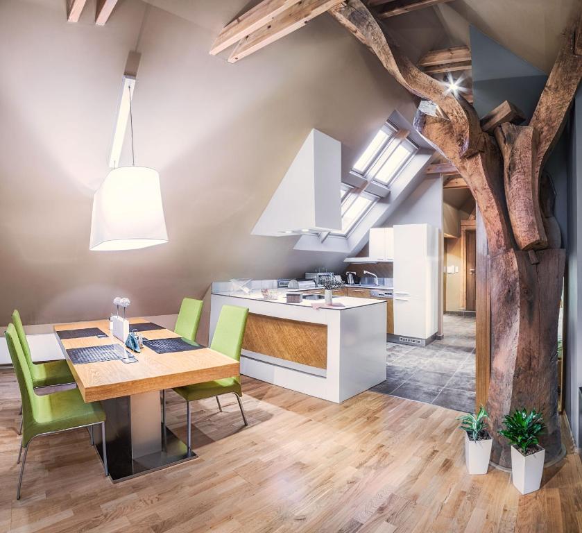 Kuchyň nebo kuchyňský kout v ubytování Apartmany Chornitzeruv dum