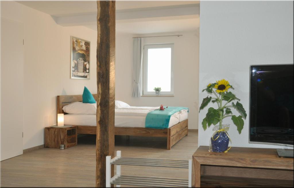 ein Schlafzimmer mit einem Bett und einem TV in einem Zimmer in der Unterkunft Moserhof-Apartments in Igersheim