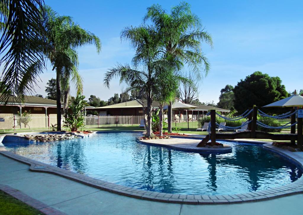 a swimming pool with palm trees in a resort at Cobram Barooga Golf Resort in Barooga