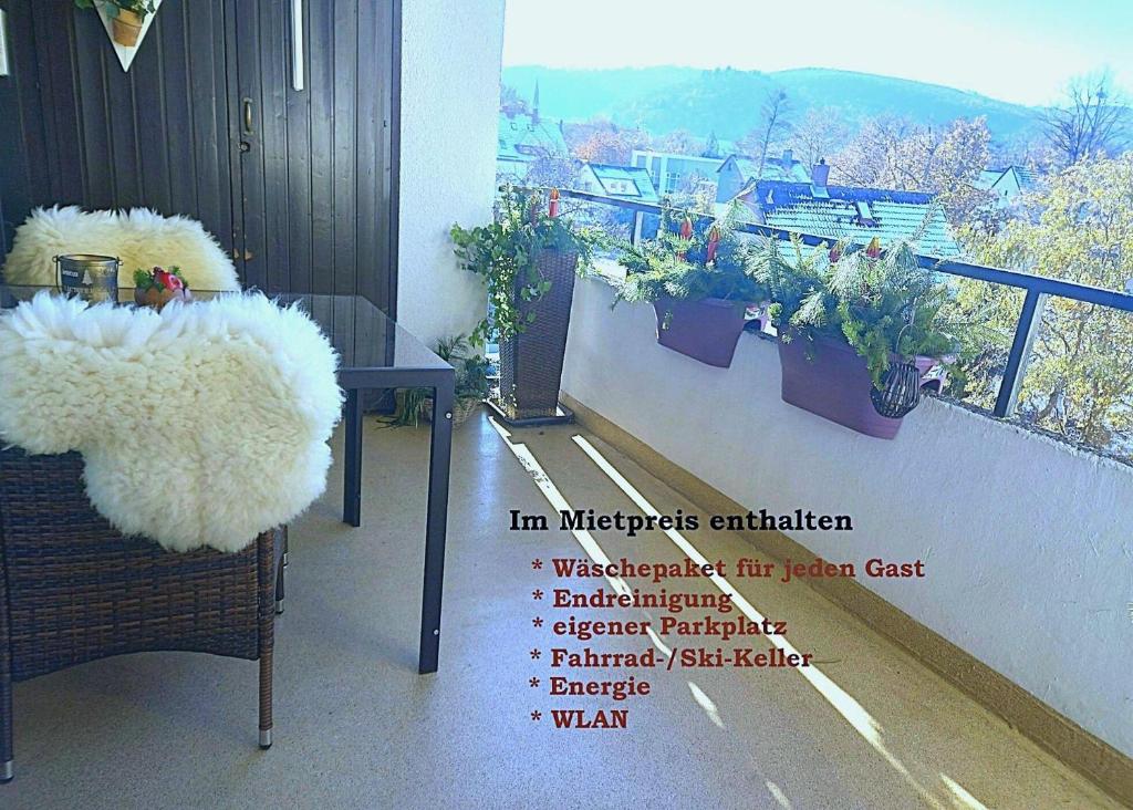 ein Bild von einem Balkon mit einem Tisch und Pflanzen in der Unterkunft Harz-Fewo Wolf in Bad Harzburg