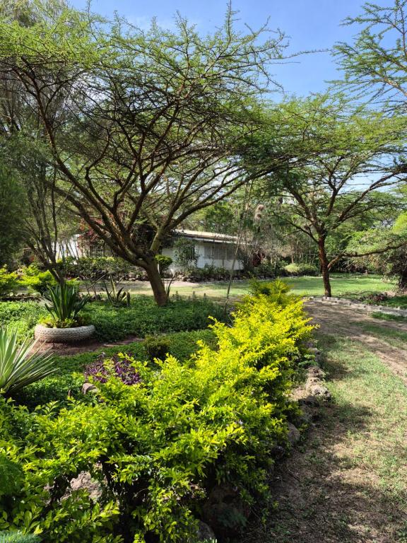 a garden with yellow flowers in a yard at Kitengela Farmhouse in Nairobi
