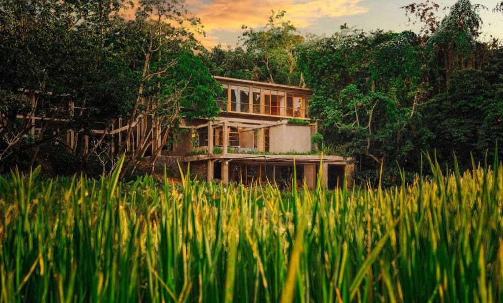 a house in the middle of a field of grass at vrihee resort in Weligama