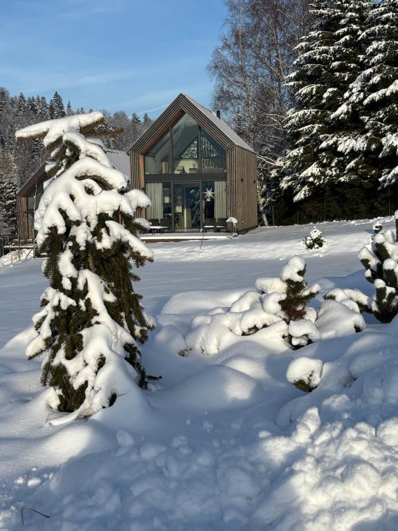 Domki Pod Lasem - Domek Bukowy om vinteren