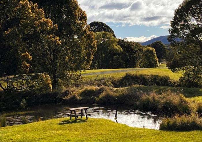 Kanimbia Luxury Glamping في Obi Obi: طاولة نزهة في حديقة بجوار بركة