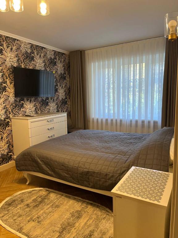 a bedroom with a bed with a television and a window at Loading Apartments in Chernivtsi