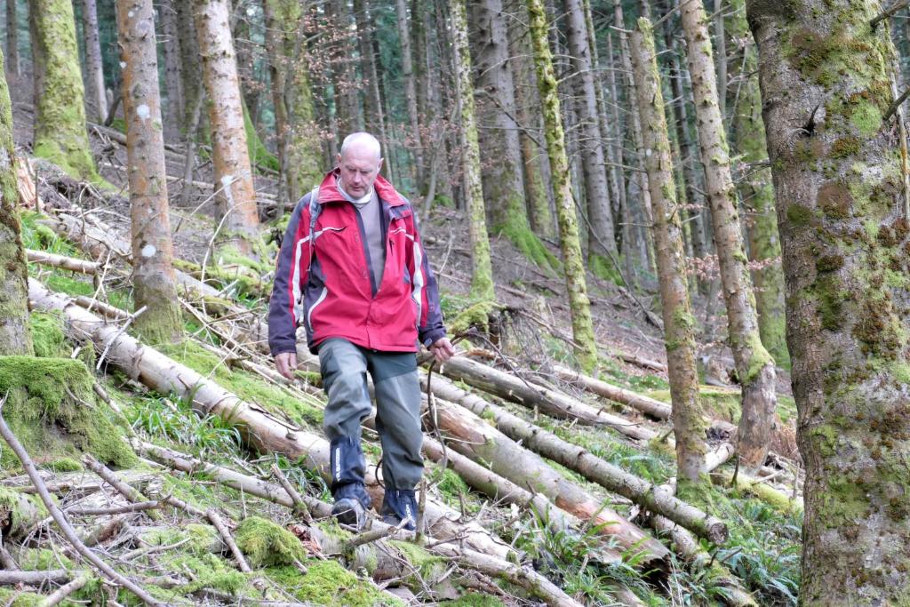 Επισκέπτες που μένουν στο les chalets d'alzen