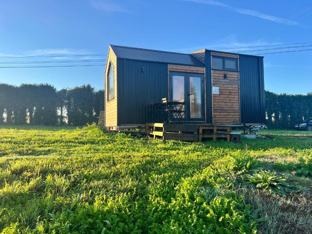 uma pequena casa sentada num campo de relva em Quinta da Runa by Tiny Away em Bagunte