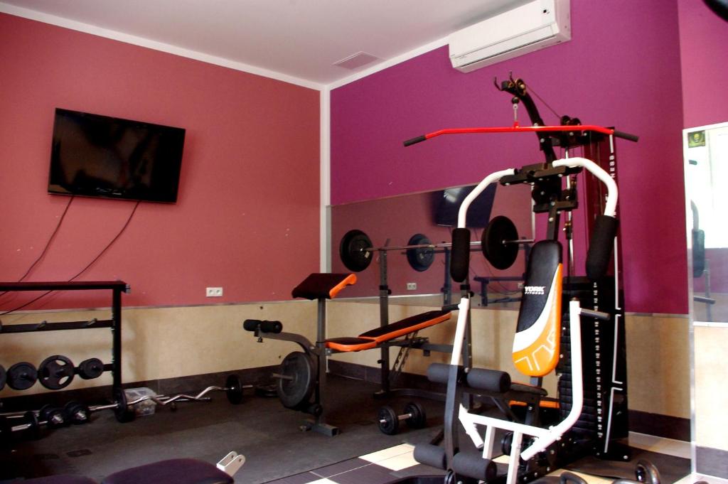 Posilňovňa alebo fitness centrum v ubytovaní Karczma pod Młynem