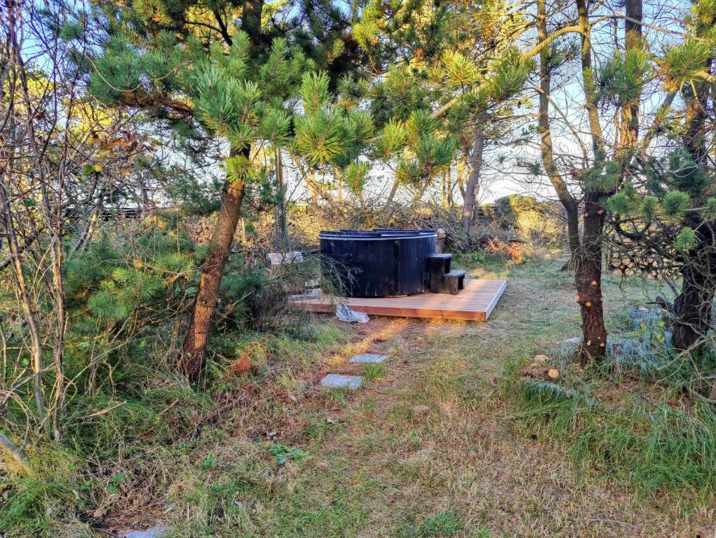 Сад в Cozy Cottage Close To Thy National Park