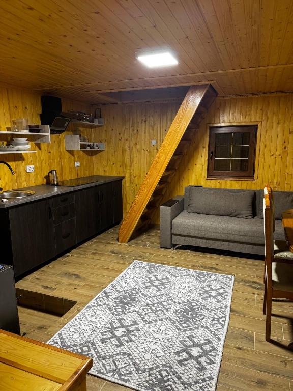 Будинок під Менчулом في راخيف: غرفة معيشة مع أريكة ومطبخ