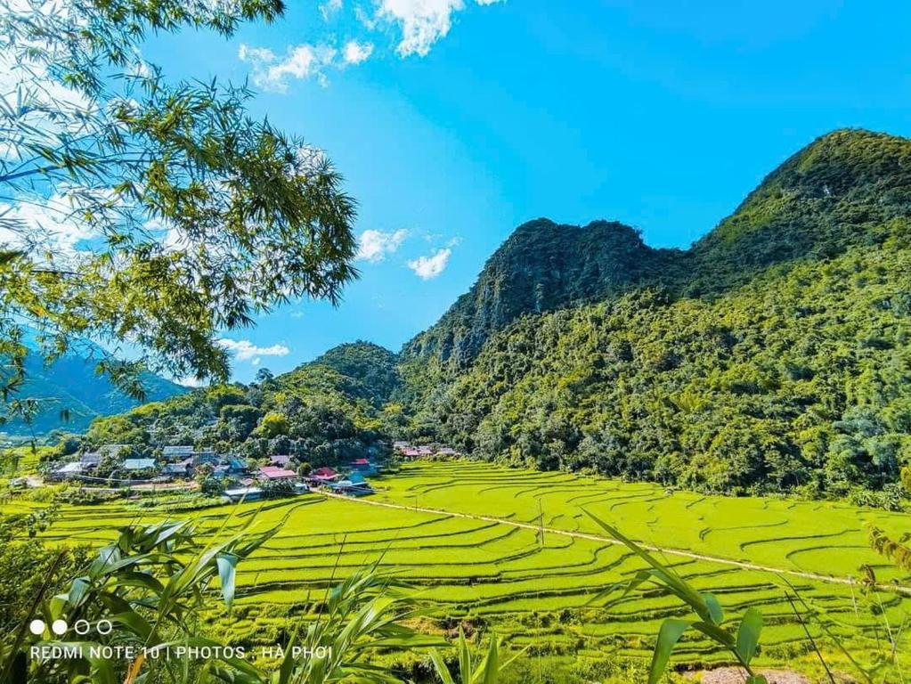 Природа в окрестностях апартаментов/квартиры