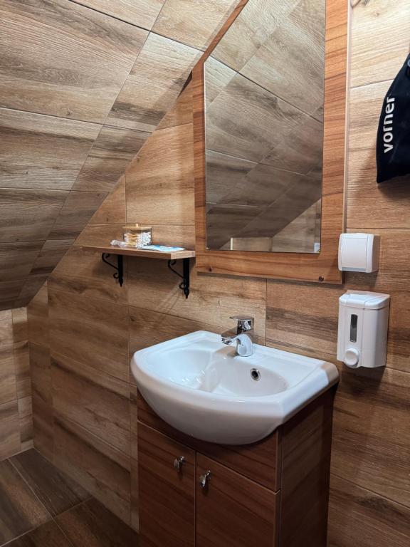 un bagno con lavandino e specchio di Pirocanac a Pirot