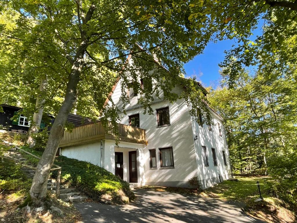 una casa bianca con un albero di fronte di Ferienhaus Lemmerwald a Neerdar