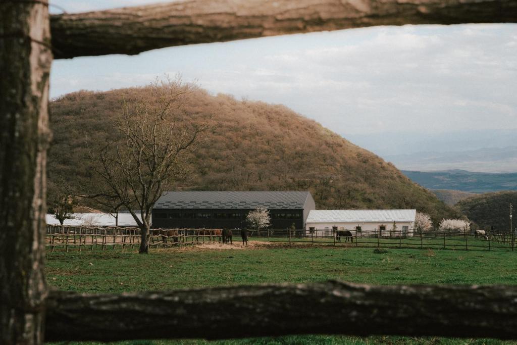 Φυσικό τοπίο κοντά σε αυτό το ξενοδοχείο