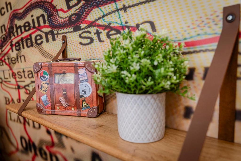 Explorer, Proche Basel, Voyage, Style & Confort – photo 13