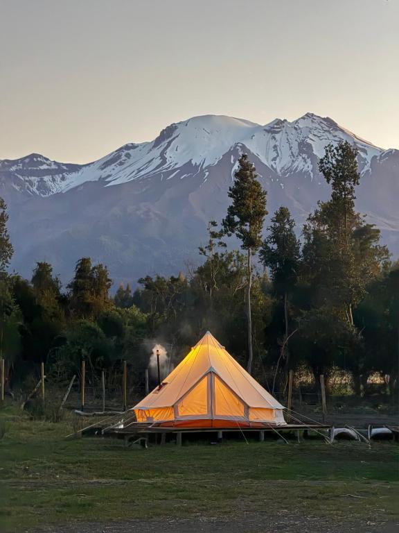 Gallery image of Glamping peumayen in La Ensenada