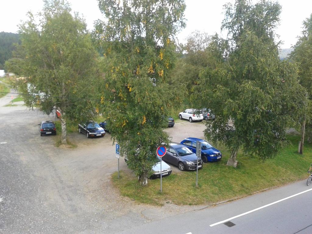 Příroda nedaleko apartmánu