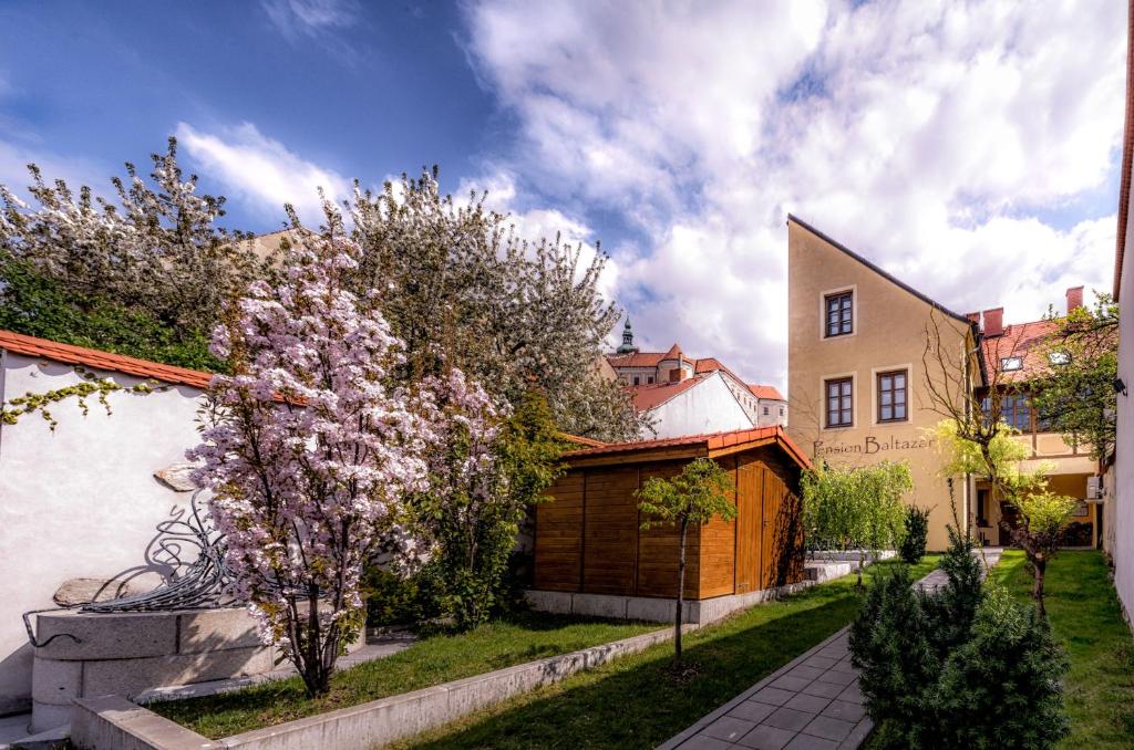 Zahrada ubytování Penzion Baltazar Mikulov