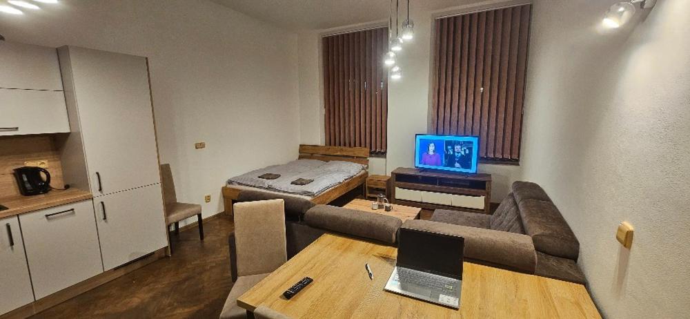 Μια τηλεόραση ή/και κέντρο ψυχαγωγίας στο apartmán Šternberk