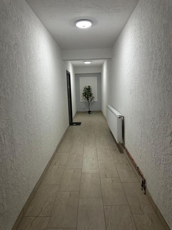 un corridoio con una pianta in un vaso al centro di Apartamente Viglo Boutique Complex a Baia Mare