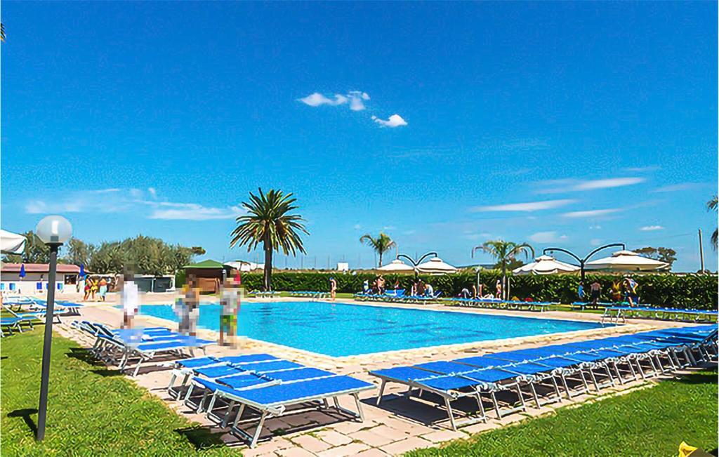 Nice Home In Tarquinia With Outdoor Swimming Pool في Porto Clementino: مسبح وكراسي الصالة الزرقاء والنخيل