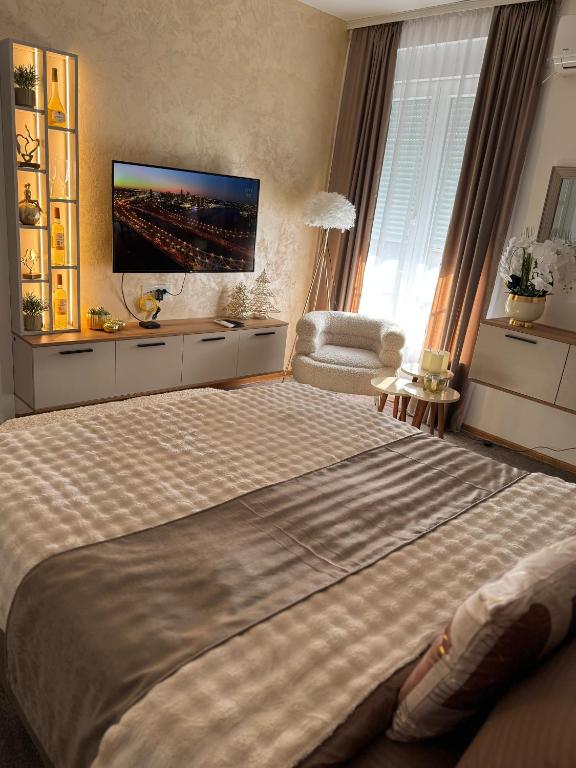a bedroom with a large bed with a television on the wall at SpaNish FoROOM 1 in Niš