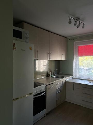 Η κουζίνα ή μικρή κουζίνα στο ROŽĖS BUTAS Apartment