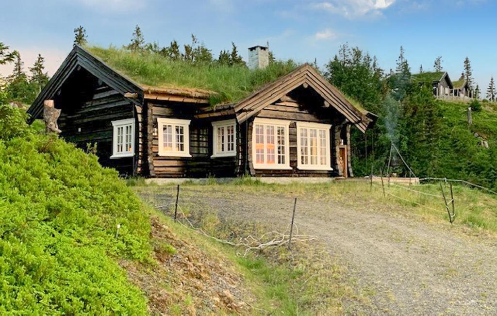 a log house with a grass roof on a hill at 4 Bedroom Pet Friendly Home In Svingvoll in Aulstad