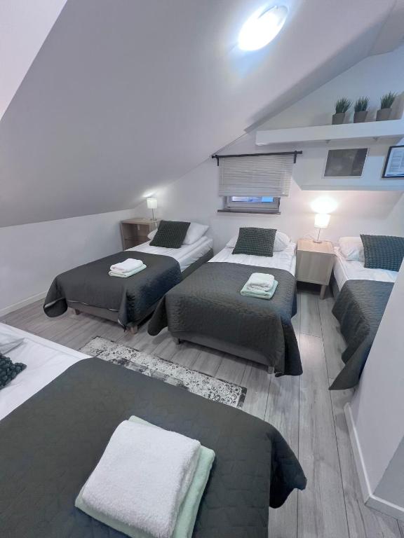 Apartamenty Pokoje Willa Bielany - 16