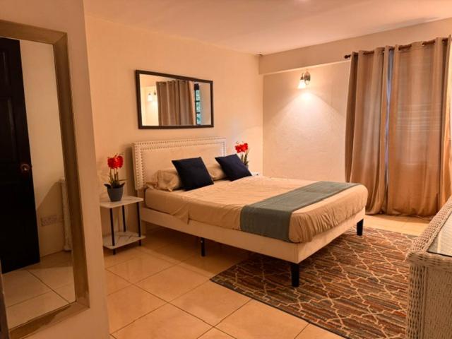 un dormitorio con una cama con dos almohadas. en Apartment Ellie, en Castries