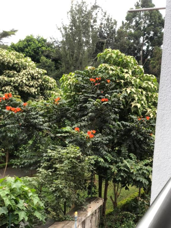 Κήπος έξω από το Rosslyn