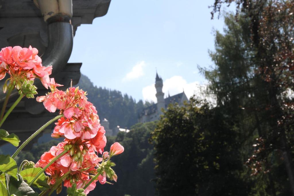 Een algemene foto van de bergen of uitzicht op de bergen vanuit de bed & breakfast