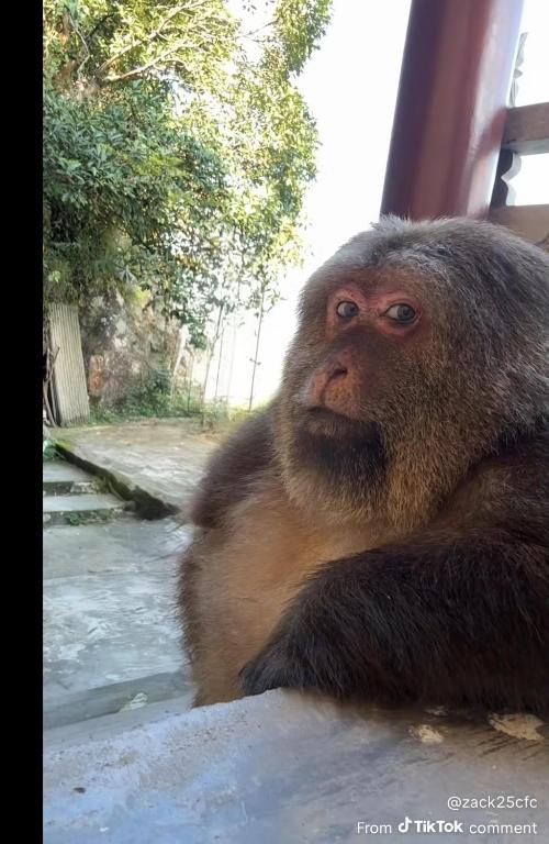 Φωτογραφία από το άλμπουμ του DELEHoUSE στο Μπέρμιγχαμ