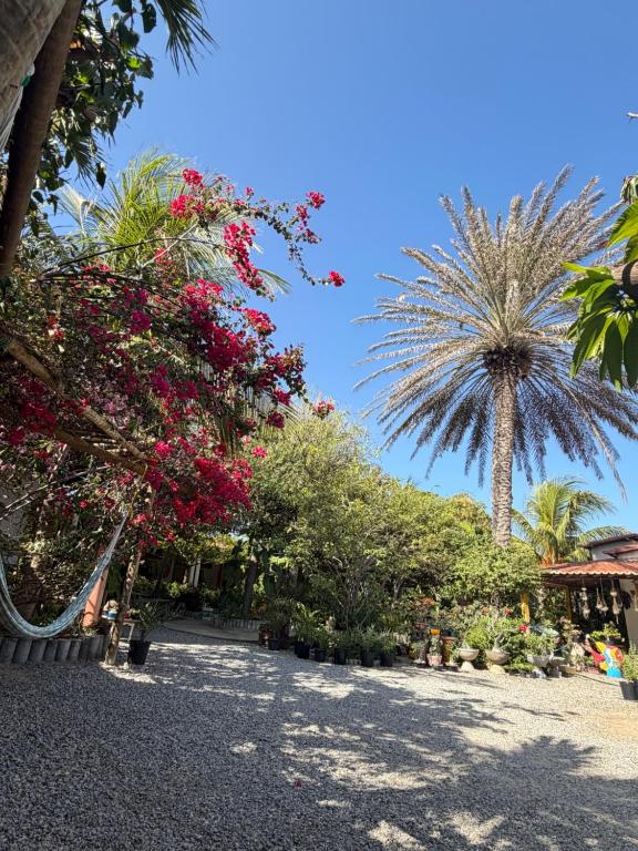 Κήπος έξω από το Pousada Maré