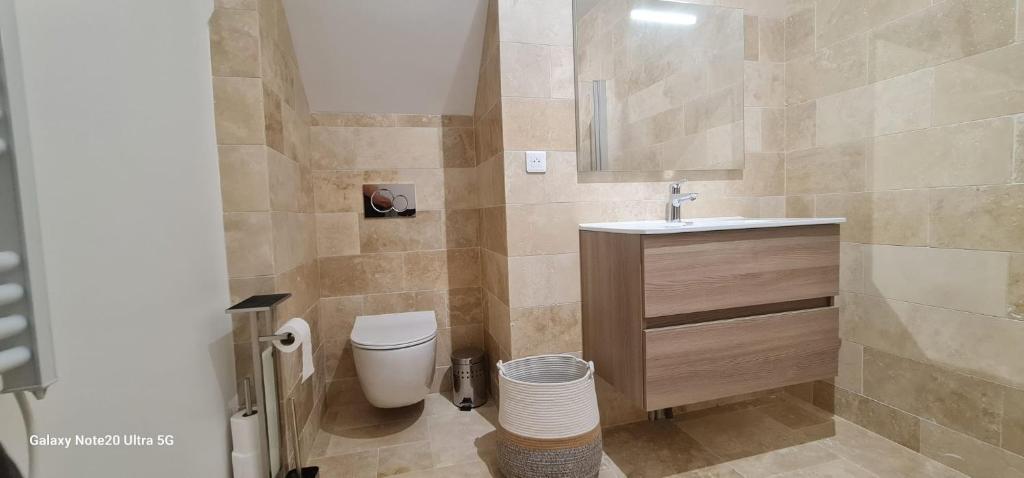 une salle de bains avec toilettes et lavabo dans l'établissement Belle appartement, à Monéteau