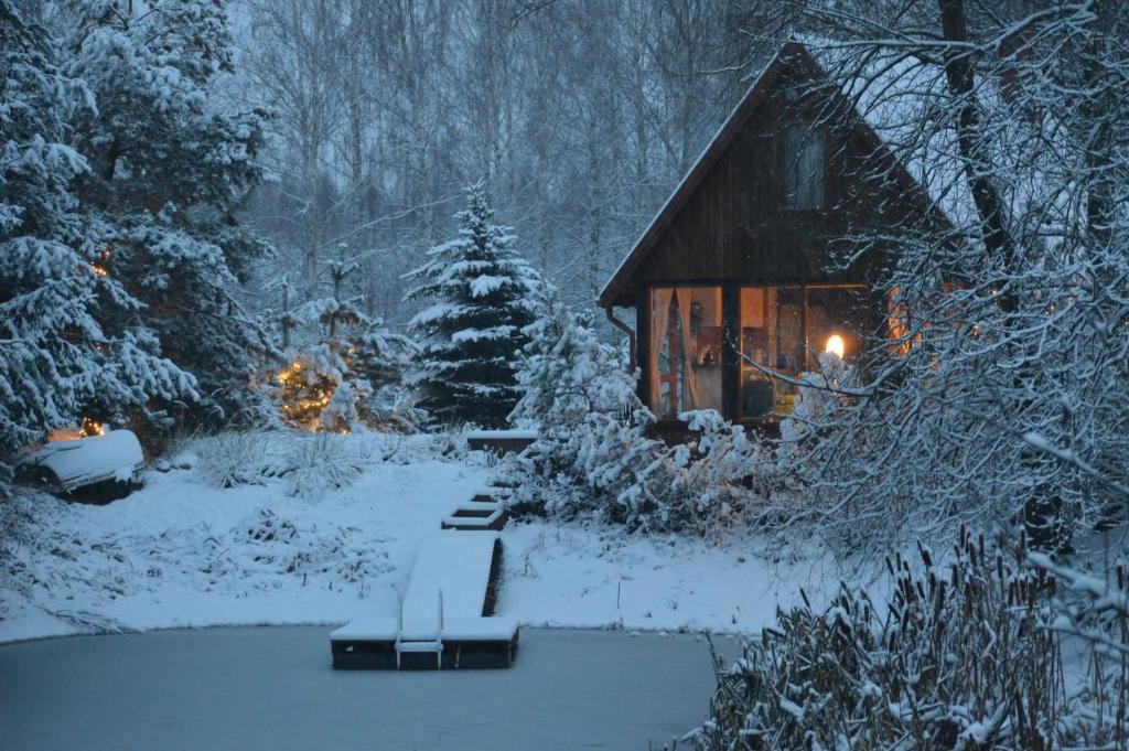 a cabin in the snow with a pond in front at Pond View Cabin in Būda