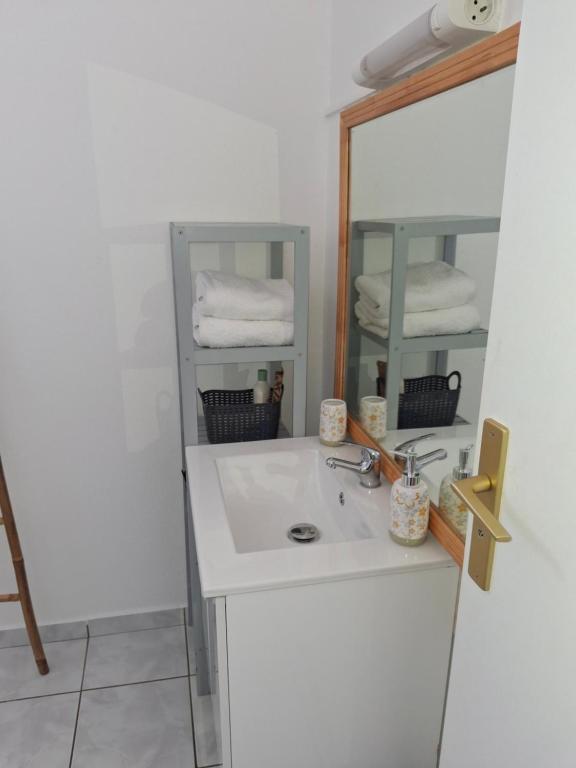 ein Badezimmer mit Waschbecken, Spiegel und Handtüchern in der Unterkunft Gwada Vakans in Saint-François