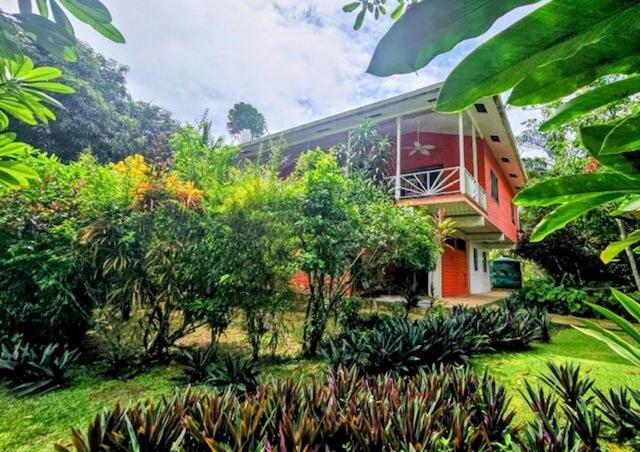 Un jardín fuera de Conchy Tonk