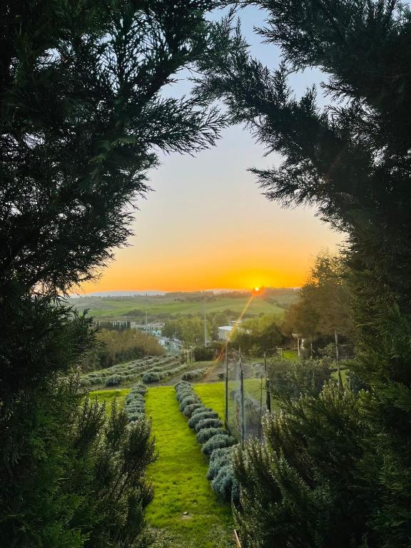 a garden with a sunset in the background at Il Lavandeto - farmhouse in the city in Siena