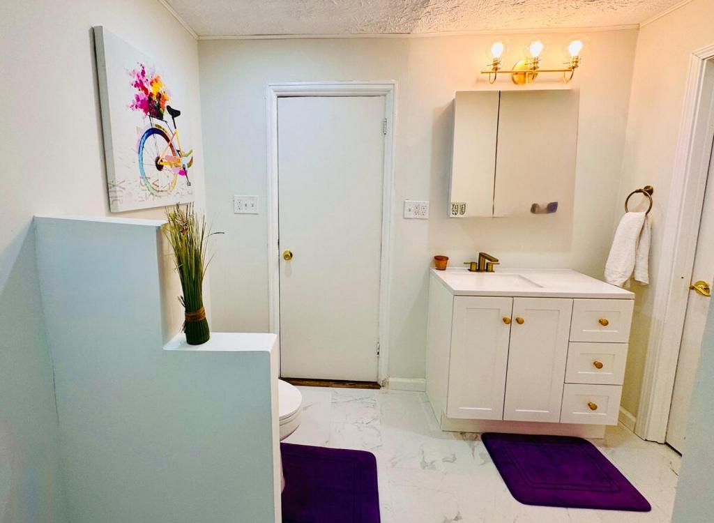 a bathroom with a toilet and a sink at Perfect staycation in Ohio City, walk to W 25 st in Cleveland