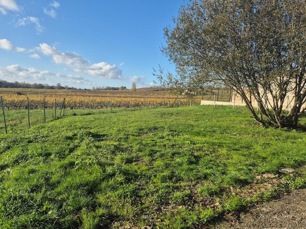 Φωτογραφία από το άλμπουμ του Maison au cœur des vignes σε Montagne