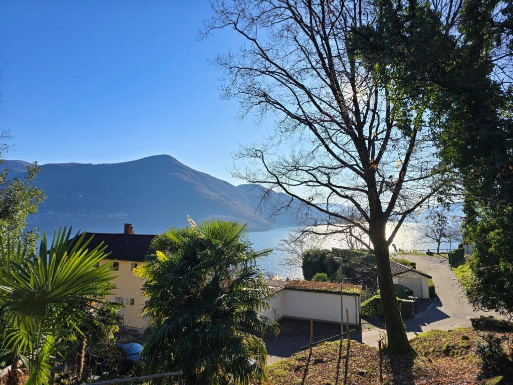 Příroda nedaleko prázdninového domu