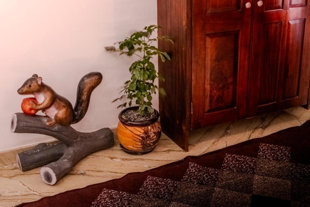 6 Elements Bedrooms With Event Space 4500 Sq Ft في تريفاندروم: تمثال لسنجاب يجلس بجانب نبات في أصيص