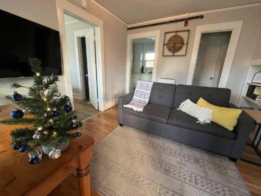 库斯贝#StayinMyDistrict Heritage By The Bay的客厅里有一棵圣诞树和一张沙发