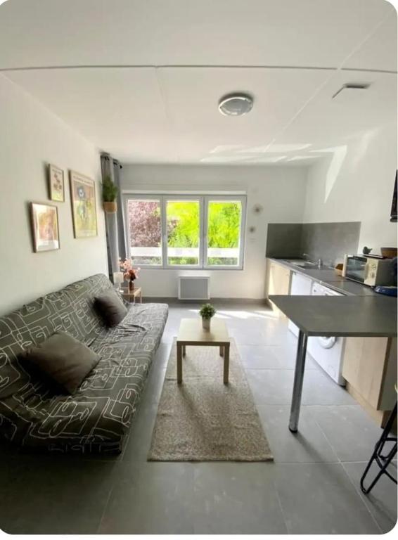 ein Wohnzimmer mit Sofa und Tisch in der Unterkunft Entire apartment in Auxerre in Auxerre