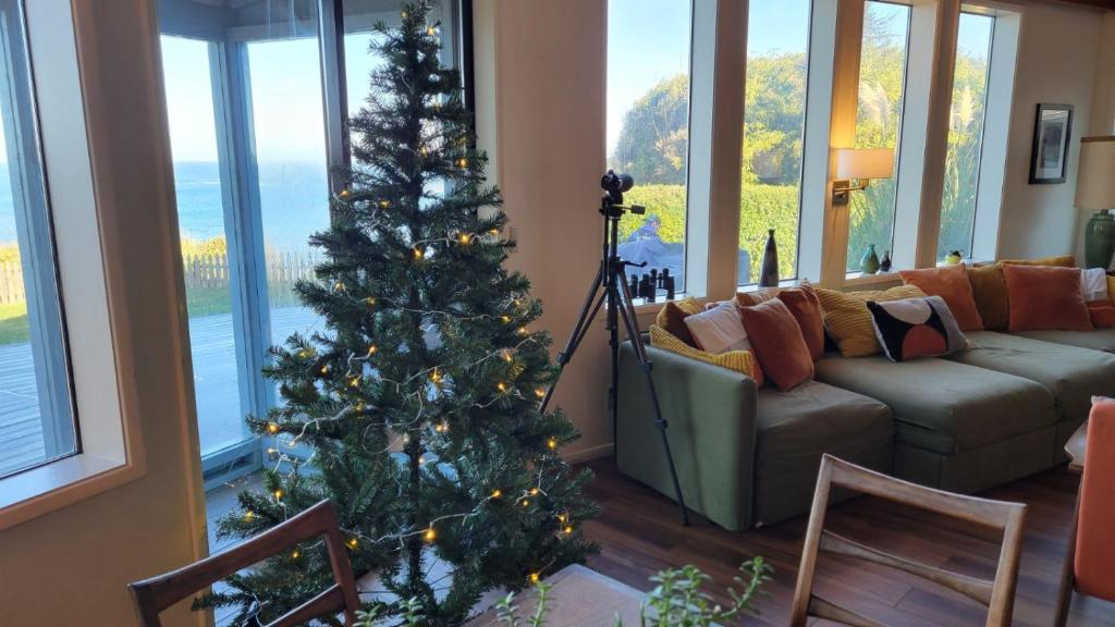 库斯贝#StayinMyDistrict Cape Arago Sanctuary at the Sea的客厅里有一棵圣诞树,配有沙发