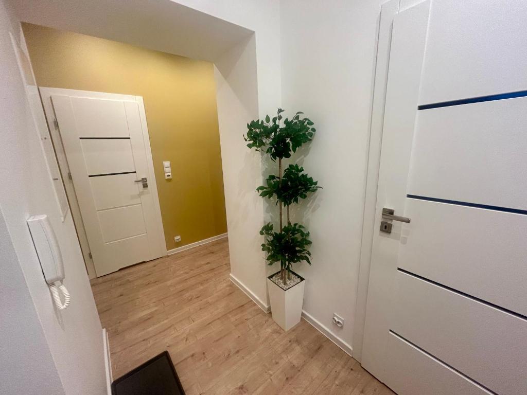 Apartment Targowa L4 - 5